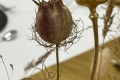 IMG-20231216-WA0044