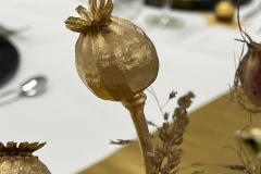 IMG-20231216-WA0045
